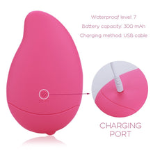 Load image into Gallery viewer, Silicone Electric Facial Cleanser Facial Pore Cleansing